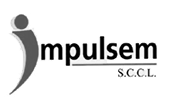 Impulsem